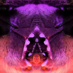 Infection primitive
