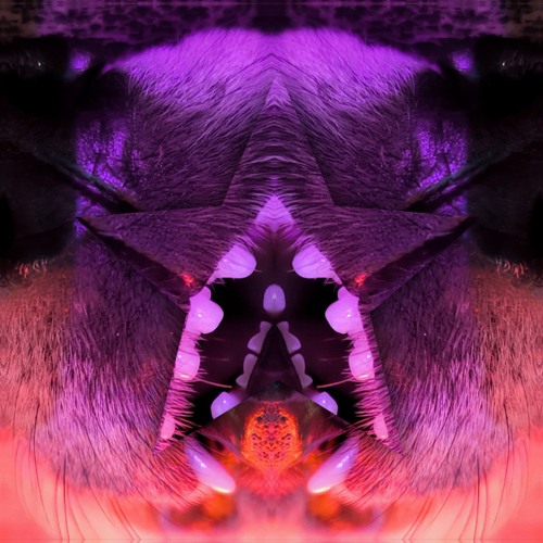Infection primitive