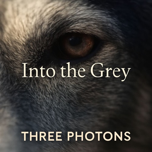 The Phoenix (lo fi, deep archive)