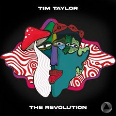 Tim Taylor - The Revolution (Original Mix)