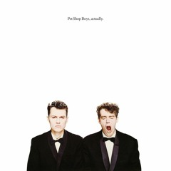 Pet Shop Boys - Hit Music (Luin's @ The Disco Mix)