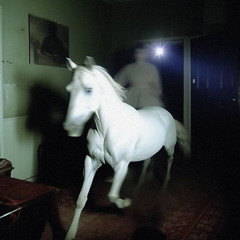 bolsh3 - batterwhy, four hearts, horney, jabka, EGXISTX