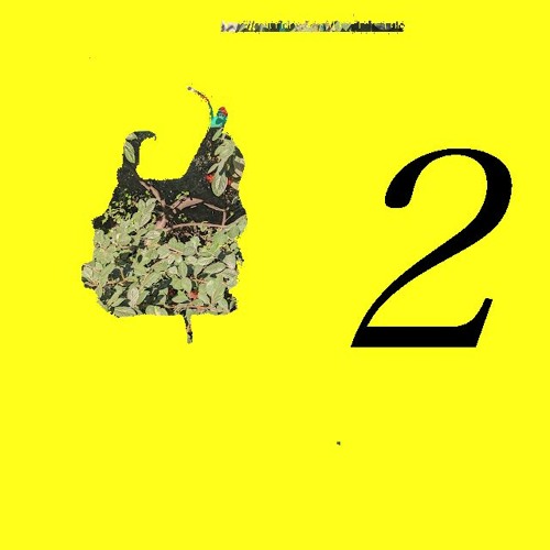 FC - MY VISION IS CLEAr