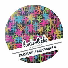 OUT NOW Jan Riepshoff - Things Will Eventually Change (Snippet)