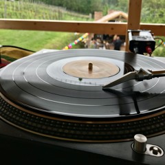 DJ Botond - Oldschool Progressive Psytrance Vinyl Mix Vol.1 (Garden Edition)