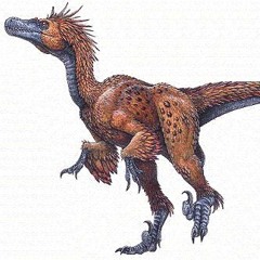 Dinosauri Sublime 1 Uscita Stereo Out Uscita Stereo Out