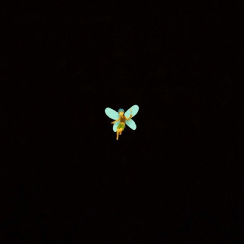 Peter Pan (Captain Hook LeeMix)