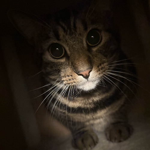 n3vr lo0ked th1s go0d (prod. by pyctur)