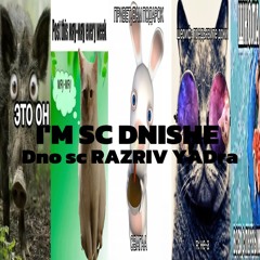 Dno Sc-School jerk type Remix