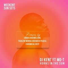 Horns In The Sun (Thakzin Remix)