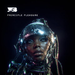 Principle Pleasure (riginal Mix)