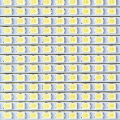 Eddie's Brain (Generative)