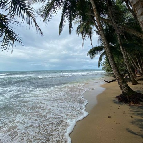 Quarantine Live Session by Selecta Yarks