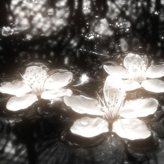daydream