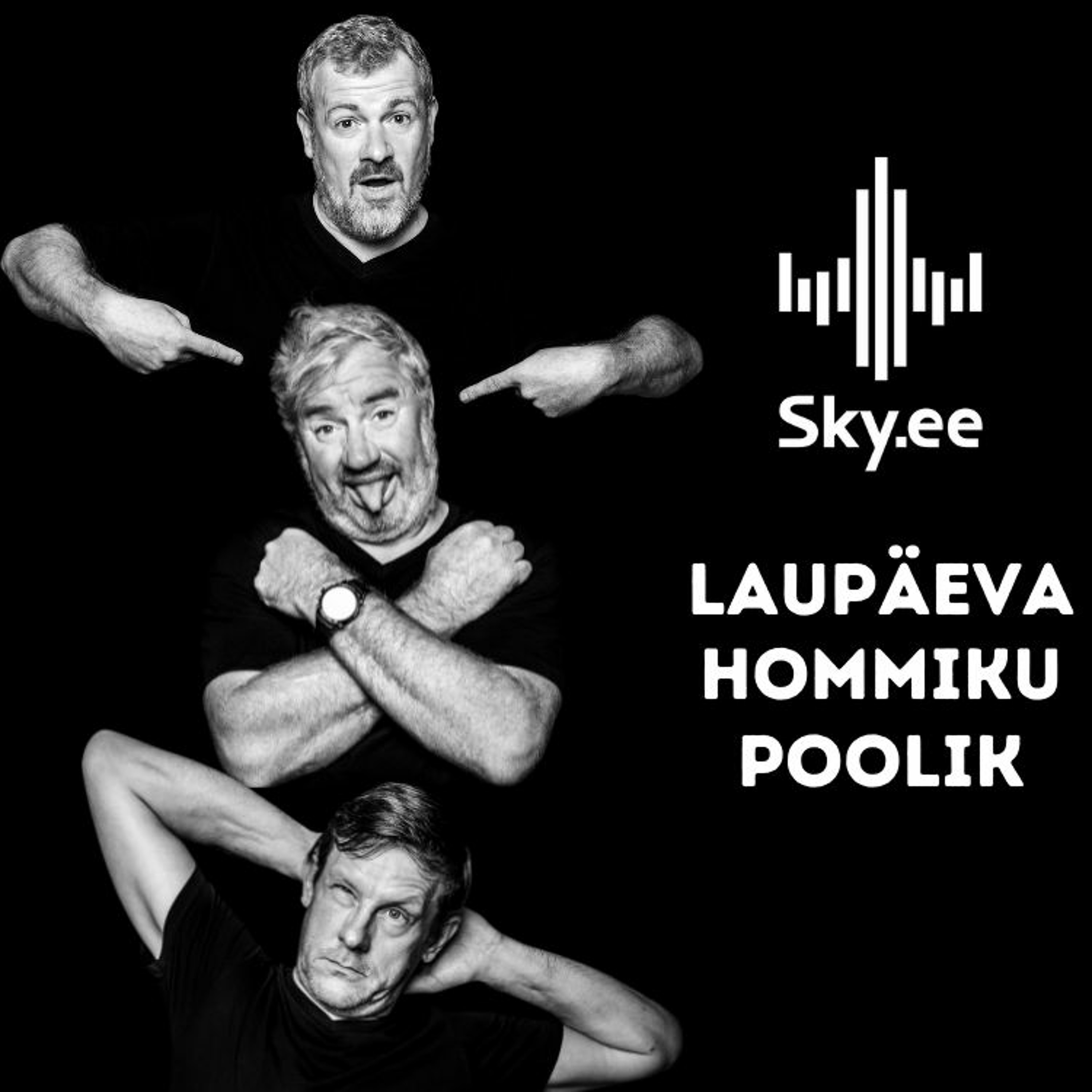 Skyportaal