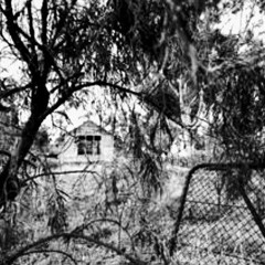 Desolation