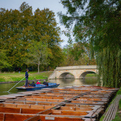 2024-11-12 Punting on the Cam