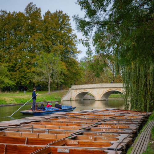 2024-11-12 Punting on the Cam