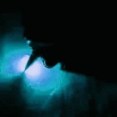 my parrot chewing gif is now perfected