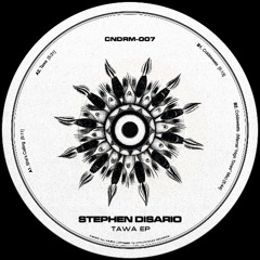 PREMIERE: Stephen Disario - She's Calling [CNDRM007]