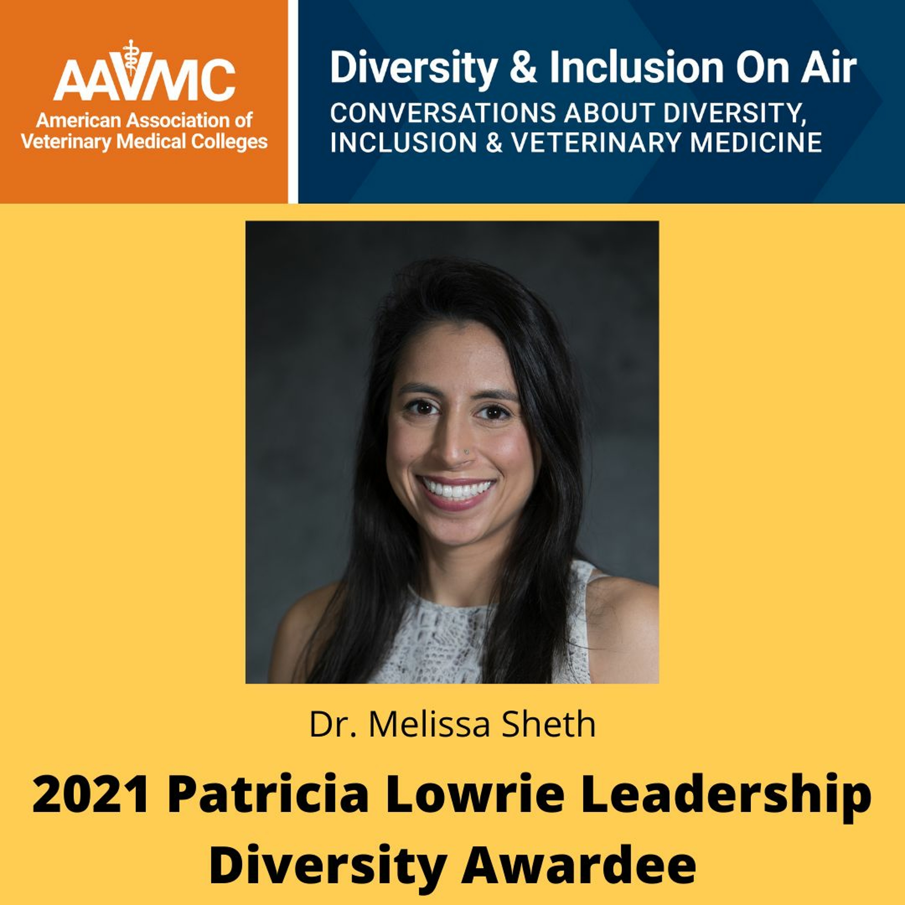 AAVMC\'s On Air: Conversations about Issues in Veterinary Medicine