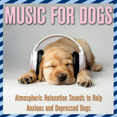 Music For Anxious Dogs 🐕