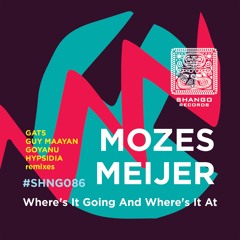 2.Mozes Meijer - Where's It Going And Where's It At  (GATS Remix)