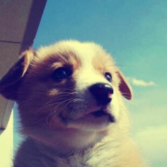 조장혁 - 중독된사랑