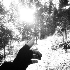 L1GHT - Ultra Slowed