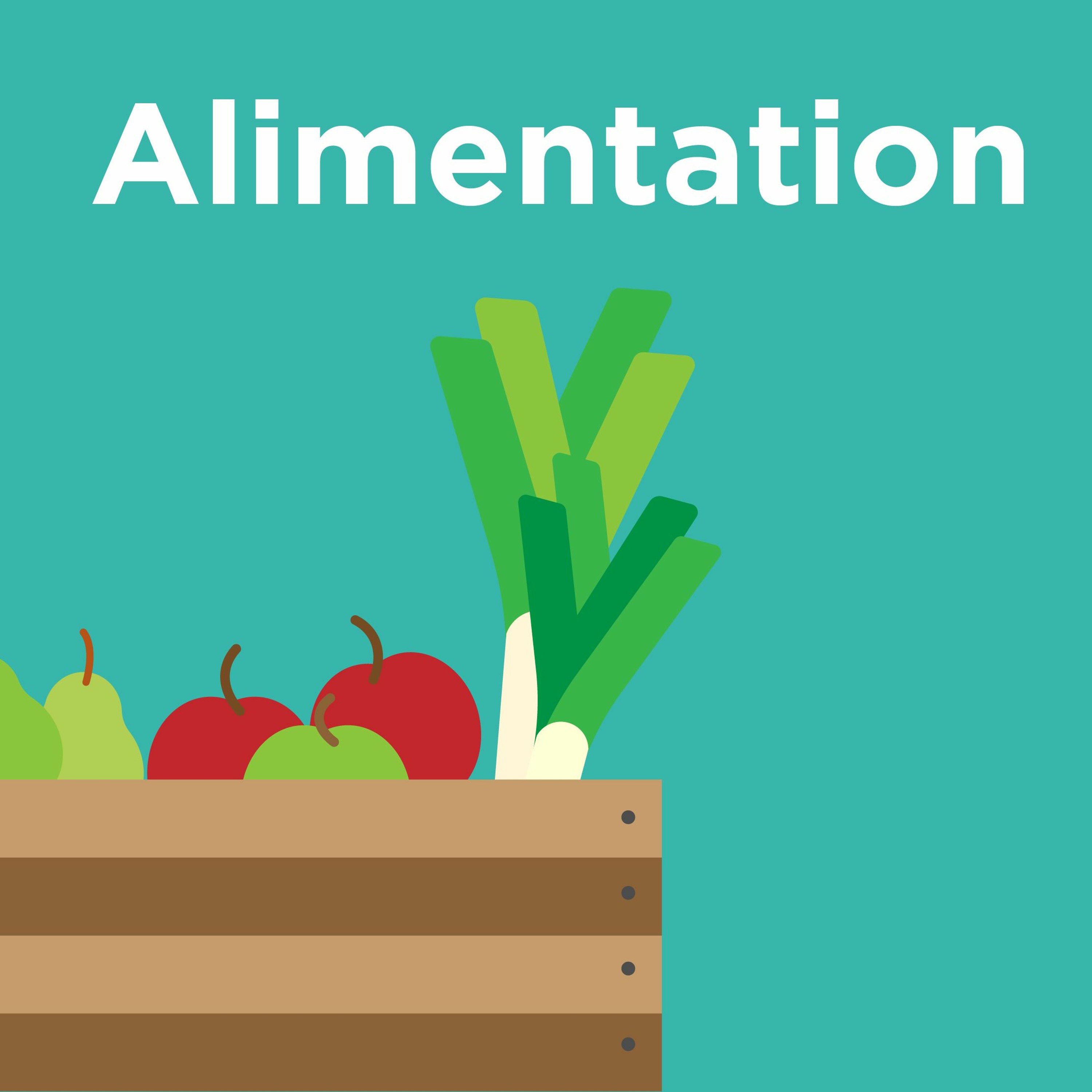 Programme - Alimentation