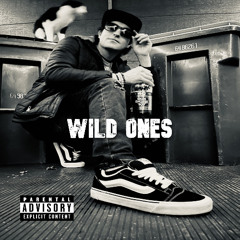 Wild Ones (remix) [delay start]