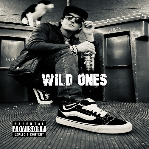 Wild Ones (remix) [delay start]