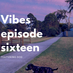 Vibes Ep 16