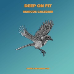 Marcos Calegari - Lonely Moon (Original Mix)
