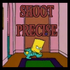 Shoot Precise