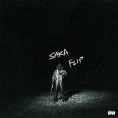 destroy lonely - fly sht [saka flip]