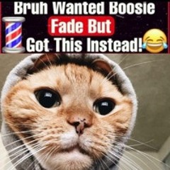 FRICKTOOLACED
