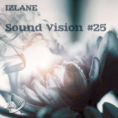 Sound Vision #25
