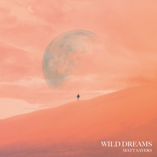Wild Dreams