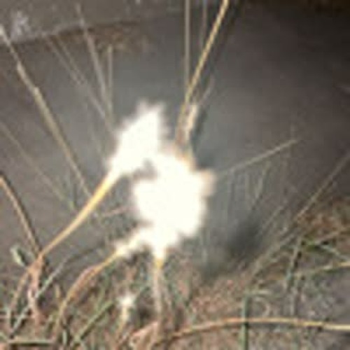 2HOLLIS & KASPER GEM - IS IT REAL (A PERSONAL FAVORITE)