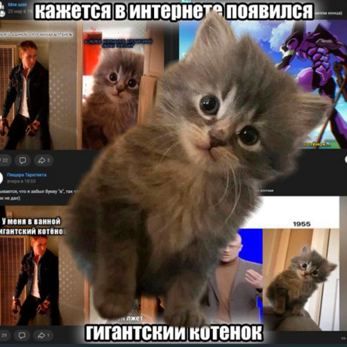 CUPSIZE - нам это нравится......