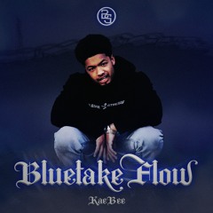 BlueTake Flow