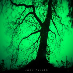 John Palmer 4