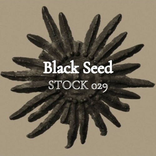 Stock 029 par Black Seed