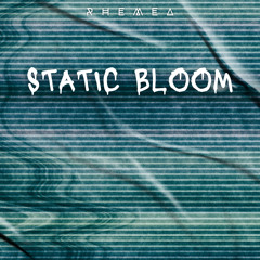 Static Bloom