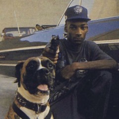 Snoop Dogg - Gin and Juice (Teeb Remix)