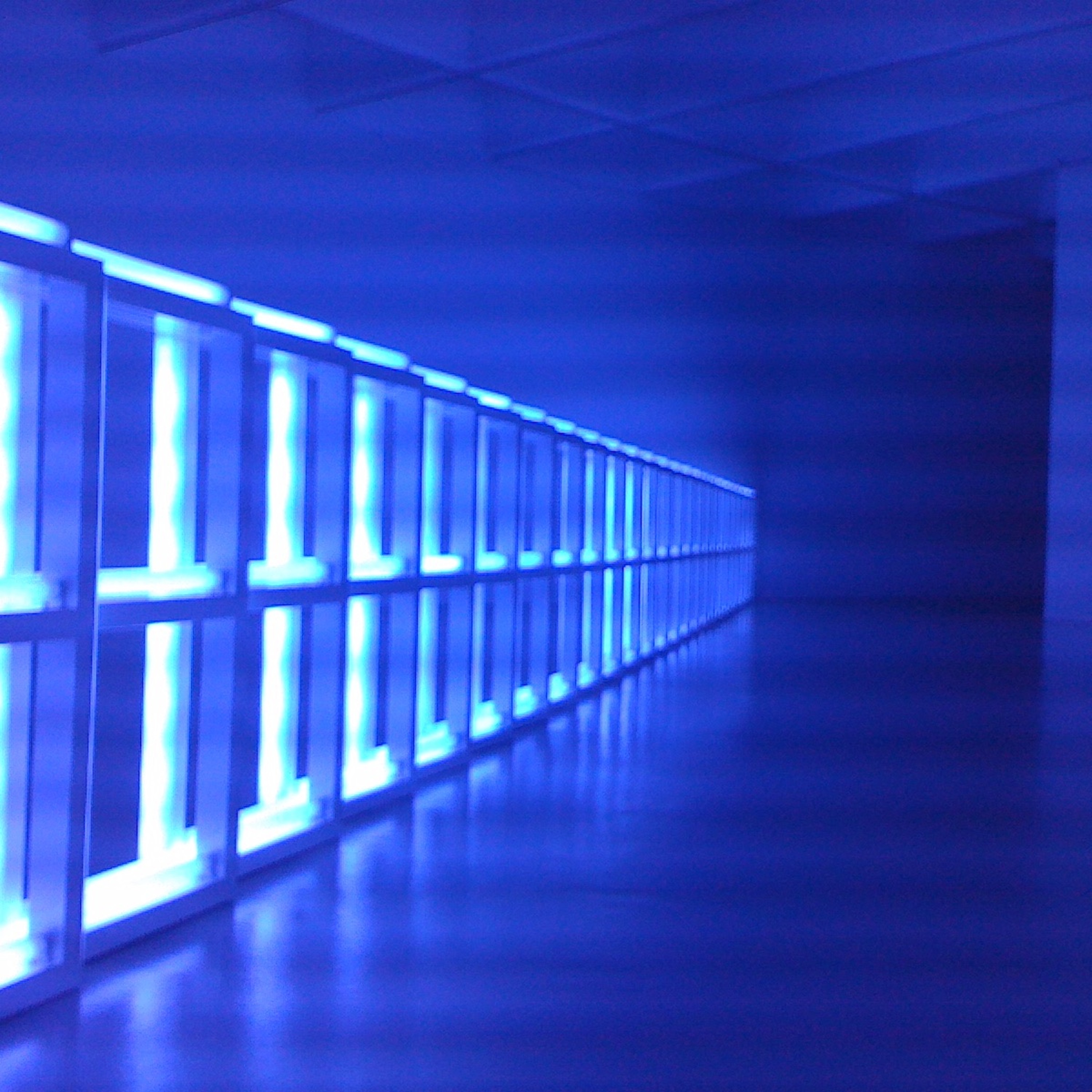Neonlichter