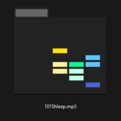 101Shleep.mp3