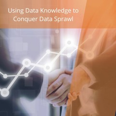 Using Data Knowledge to Conquer Data Sprawl - Audio Blog