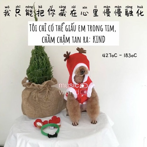 Tôi Chỉ Có Thể Giấu Em Trong Tim, Chầm Chậm Tan Ra (我只能把你藏在心里慢慢融化) - KIND